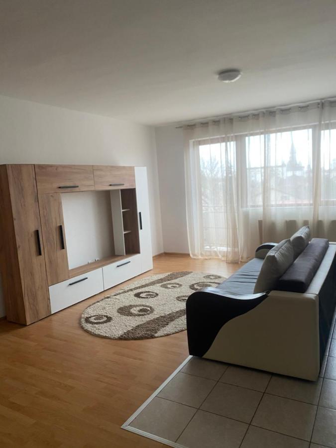 2Br Cosy Apart Satu Mare Exterior photo
