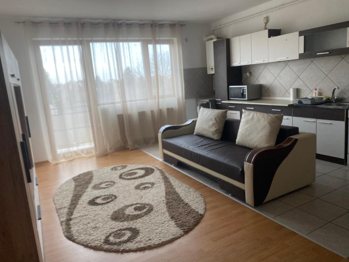 2Br Cosy Apart Satu Mare Exterior photo